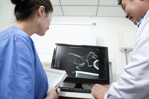 Advanced Digital X-rays Serving West Virginia 
